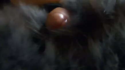Tay İkizler Asyalı ateşli sexs porno kız