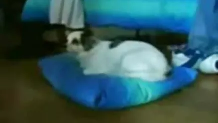 Güzel kadın ve dövme becerdin alır ateşli seks vidivodo