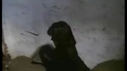 sıcak blowjob sexs ateşli